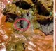 Kritunga Restaurant Hyderabad Faces Complaint After Cockroach Found in Food