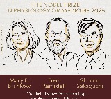 Mary E Brincker Fred Ramsdell Shimon Sakaguchi win Nobel Prize