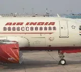 Air India Flight from Colombo Bird Strike Near Chennai