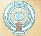 Amaravati Special Entity Setup for Capital City Projects