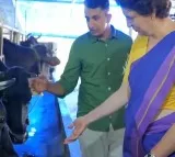 Priyanka Gandhi surprised by Alia Bhatt cow at dairy farm