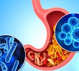 A healthier gut may help improve depression and anxiety, says study