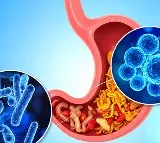 A healthier gut may help improve depression and anxiety, says study
