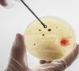 Targeted steroid use shows promise against TB