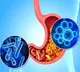 A healthier gut may help improve depression and anxiety says study