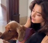 Rashmika Mandannas Selfie Fuels Engagement Speculation