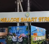 Chandrababu Naidu Launches Nellore Smart Street Virtually