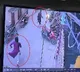 Hyderabad Girl Bhavani fearlessly chases thief