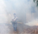 TN govt intensifies efforts to contain spike in dengue, typhoid cases