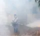 TN govt intensifies efforts to contain spike in dengue, typhoid cases