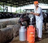 Dairy sector gets big push as projects worth Rs 947 crore kick off
