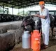 Dairy sector gets big push as projects worth Rs 947 crore kick off