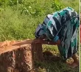 Chhattisgarh Elderly Woman Heartbroken Over Tree Cutting Viral Video