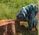 Chhattisgarh Elderly Woman Heartbroken Over Tree Cutting Viral Video