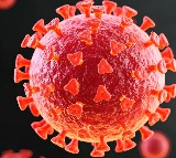 Covid virus can cause changes in sperm, raise anxiety risk in future generations: Study