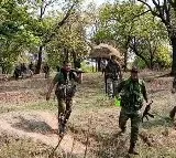 Major blow to insurgency: Top Maoist Sonu 'dada' surrenders with 60 cadres in Maharashtra