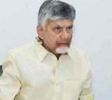 Chandrababu Naidu Comments on Jagan in TDP MPs Meeting
