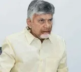 Chandrababu Naidu Comments on Jagan in TDP MPs Meeting