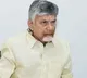 Chandrababu Naidu Comments on Jagan in TDP MPs Meeting