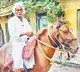 Farmer Lakshmareddy Riding Horse For over 30 Years in Tenali