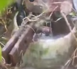 Kiran Water springs miraculously from abandoned borewell in Warangal