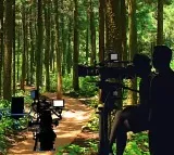 Telangana 24 Hour Permission for Film Shoots in Forests