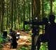 Telangana 24 Hour Permission for Film Shoots in Forests