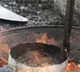 WHO calls for immediate action to end lead exposure