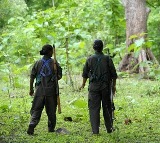 Chhattisgarh Maoist 200 Naxalites Surrender in Bastar