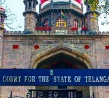 Telangana High Court Directs Government EC to Decide on Local Elections Soon