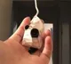Secret Camera Found in Hyderabad Rental House Bathroom