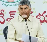Chandrababu Naidu Urges TDP Leaders to Counter Jagans Propaganda