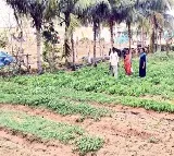 Kadapa farmer Ramesh success with 20 crops in small land