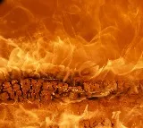 Sangareddy District Fire Accident at Firecracker Shop