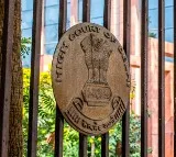 Delhi High Court Why alimony for well earning wife