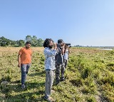 Assam’s Kaziranga records 146 bird species in latest survey