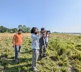 Assam’s Kaziranga records 146 bird species in latest survey