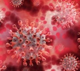 Covid 19 Impact on Future Generations Study by Anthony Hannan