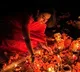 Apple CEO Tim Cook shares 'stunning' Diwali image by Mumbai-based photographer