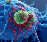 Covid mRNA vaccine may be used to fight lung, skin cancer