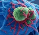 Covid mRNA vaccine may be used to fight lung skin cancer