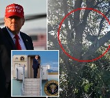 Donald Trump assassination attempt at Palm Beach Airport
