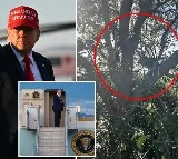 Donald Trump assassination attempt at Palm Beach Airport