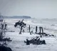 APSDMA warns of depression in Bay of Bengal impact on Andhra Pradesh