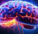 Study shows earlier menopause, poor heart health can affect brain