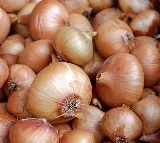 Maharashtra Farmer Sudam Ingle Earns Rs 664 After Spending Rs 66000 on Onions