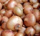 Maharashtra Farmer Sudam Ingle Earns Rs 664 After Spending Rs 66000 on Onions