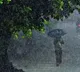 Telangana Weather Forecast Rain Expected for Next 4 Days