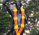 Leaders pay tribute to tribal warrior Komaram Bheem on his birth anniversary