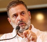 K'taka Cong requests Rahul Gandhi to urge Centre to implement menstrual leave for all women employees in govt service